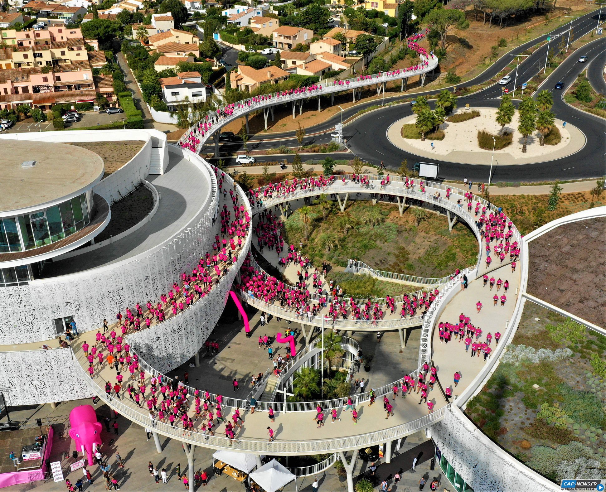 La course rose / marche rose