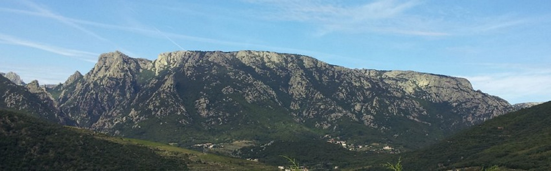 Home
